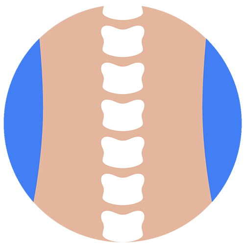 back and neck services